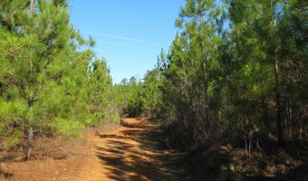 Buckhead Rd, Blair, SC 29015