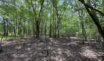 Fox Paw Court, Branchville, SC 29432