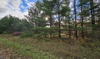 20 Acres Deerhaven, Alger, MI 48610