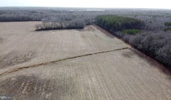 21114 WILSON Rd, Georgetown, DE 19947