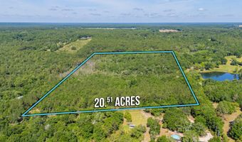 20 Acres Canyon Trl, Baker, FL 32531