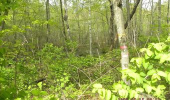 Lot 35 Bennett Road, Alfred, ME 04002