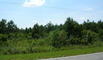 TRACT A Highway 9, Green Sea, SC 29545