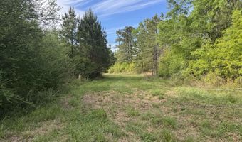 1311 A N Jackson St, Brookhaven, MS 39601