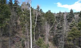 Tbd Apache Circle, Angel Fire, NM 87710