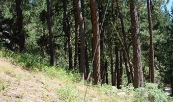 464 Collier View Rd Lot 91, Cascade, ID 83611