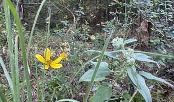 Long Branch Lane, Bee Branch, AR 72013