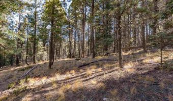 Back Basin Rd lot 145, Angel Fire, NM 87710