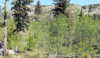 261 Kanduch Rd, Anaconda, MT 59711