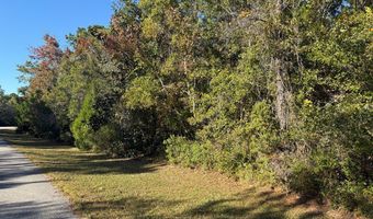 129 Water Oaks Way, Apalachicola, FL 32320