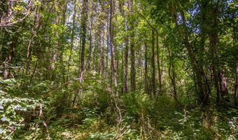 23680 Highway 58, Baskerville, VA 23915
