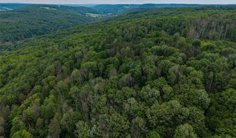 5249 State Route 21, Alfred, NY 14803