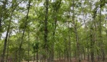 Double Pond Road, Blackville, SC 29817