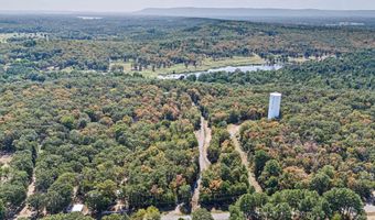 282 280 Rush Rd, Atkins, AR 72823