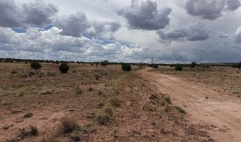 20 N 9160, Concho, AZ 85924