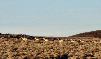 Bird Ranch Road, Crescent Valley, NV 89821