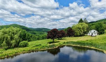240 Dowie Rd, Andes, NY 13731