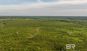 Flowers Road, Bay Minette, AL 36507