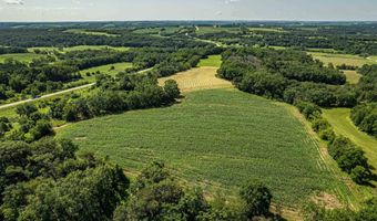 58 Acres River Road Rd, Argyle, WI 53504