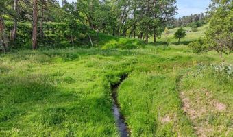 Tract 6 Lone Elk Ranch, Alva, WY 82711