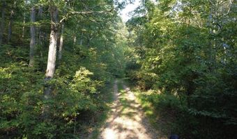 0 County Road 126, Annapolis, MO 63620