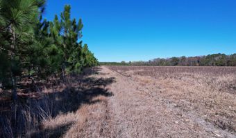 53 86 Acres-TBD Pate Rd, Bishopville, SC 29010
