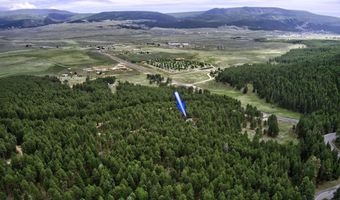 21 Pam Coleman, Angel Fire, NM 87710