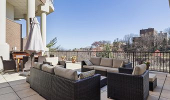 1600 N OAK St 524, Arlington, VA 22209