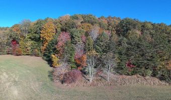 Kiawana Road lot 0, Atkins, VA 24311
