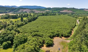 0 Alsea Hwy, Alsea, OR 97324