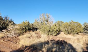 88- B Rose Ln, Ash Fork, AZ 86320