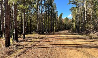 CR 260, Bruce, MS 38915