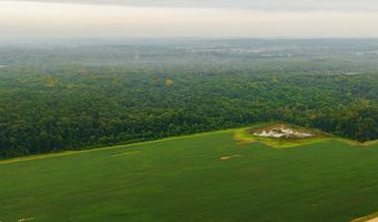 1037 Cr 300, Big Creek, MS 38914
