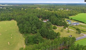 3164 Neely Wingard Rd, Leesville, SC 29070
