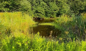 County Road Y, Aniwa, WI 54408