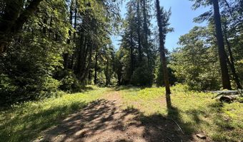 Silver Creek RD 2, Gold Beach, OR 97444