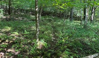 Lynch Road, Alfred, NY 14806