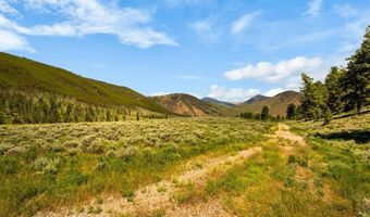 1220 Wilder Mountain Rd, Almont, CO 81210
