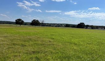 3688 N Fm 1655, Alvord, TX 76225