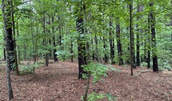 0020 Mount Carmel Rd, Bailey, MS 39320