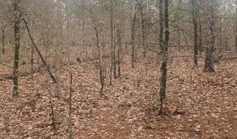 53 Jubileo Way, Hot Springs Village, AR 71909