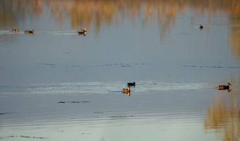 43353 258th St, Bridgewater, SD 57319