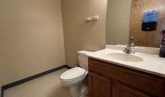 206 E Cody Ln, Basalt, CO 81621