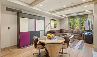 630 E Hyman Ave 203, 204, 205 & 206, Aspen, CO 81611