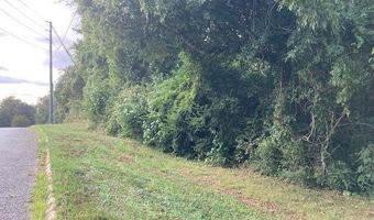 C St lot 1 & 2, Alexander City, AL 35010