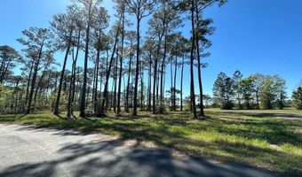Hummingbird Lane lot 2, Biloxi, MS 39532