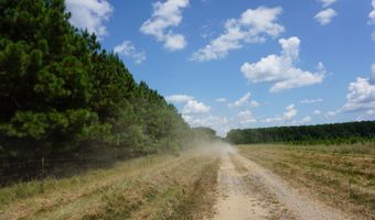 000 Stokes Rd, Bald Knob, AR 72010