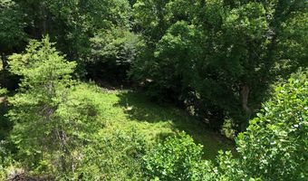 TBD Paint Fork Rd, Barnardsville, NC 28709
