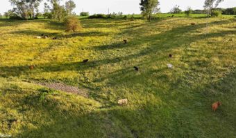 2685 210th St, Arion, IA 51520