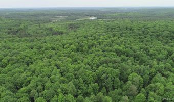 40 Acres The Grade Rd, Amasa, MI 49920